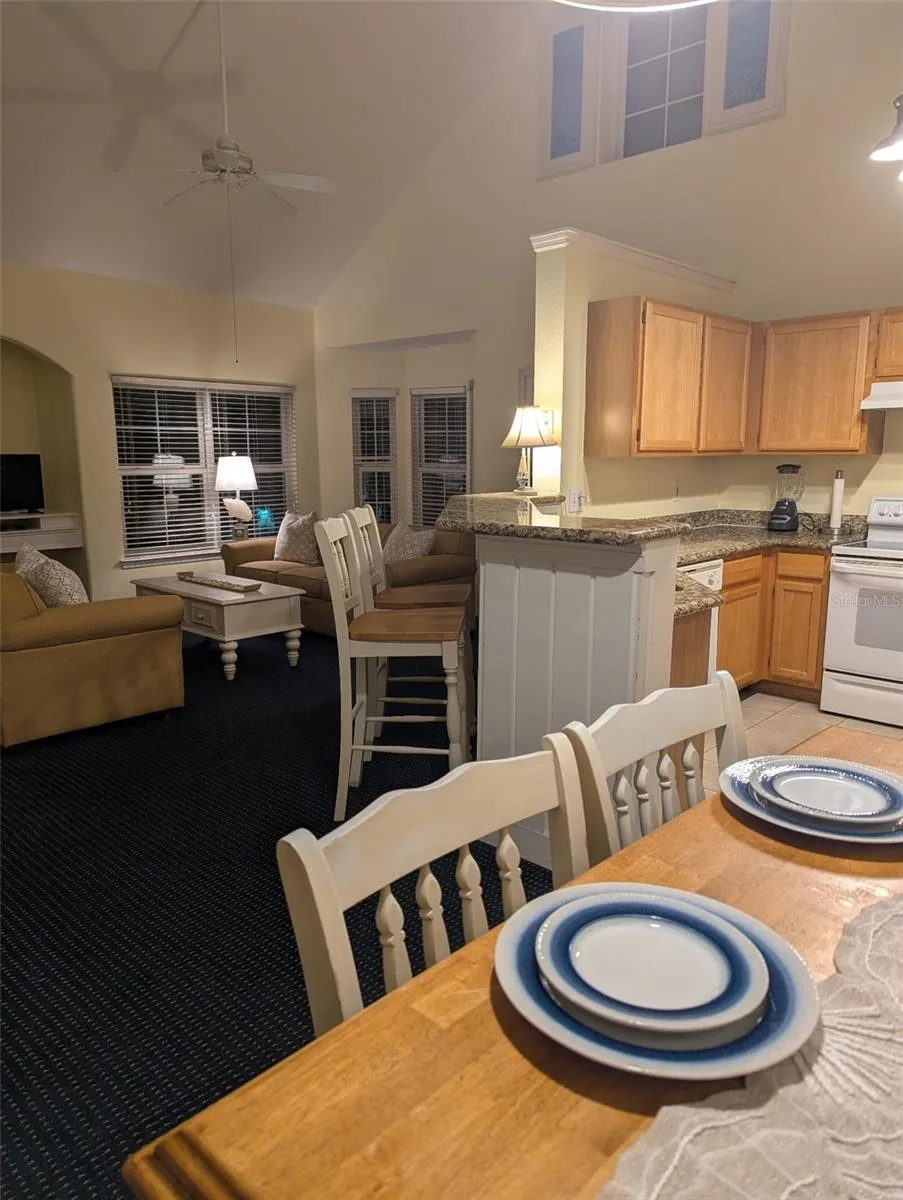 3003 LIMBO LANE #203 Kissimmee, FL 34746