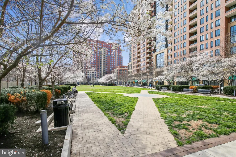 650 15TH STREET S #1 Arlington, VA 22202