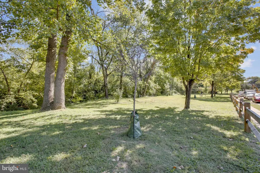 650 15TH STREET S #1 Arlington, VA 22202