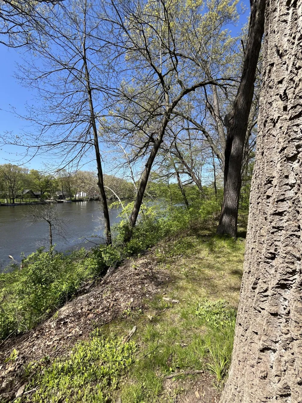 201 Scenic View Drive Niles, MI 49120