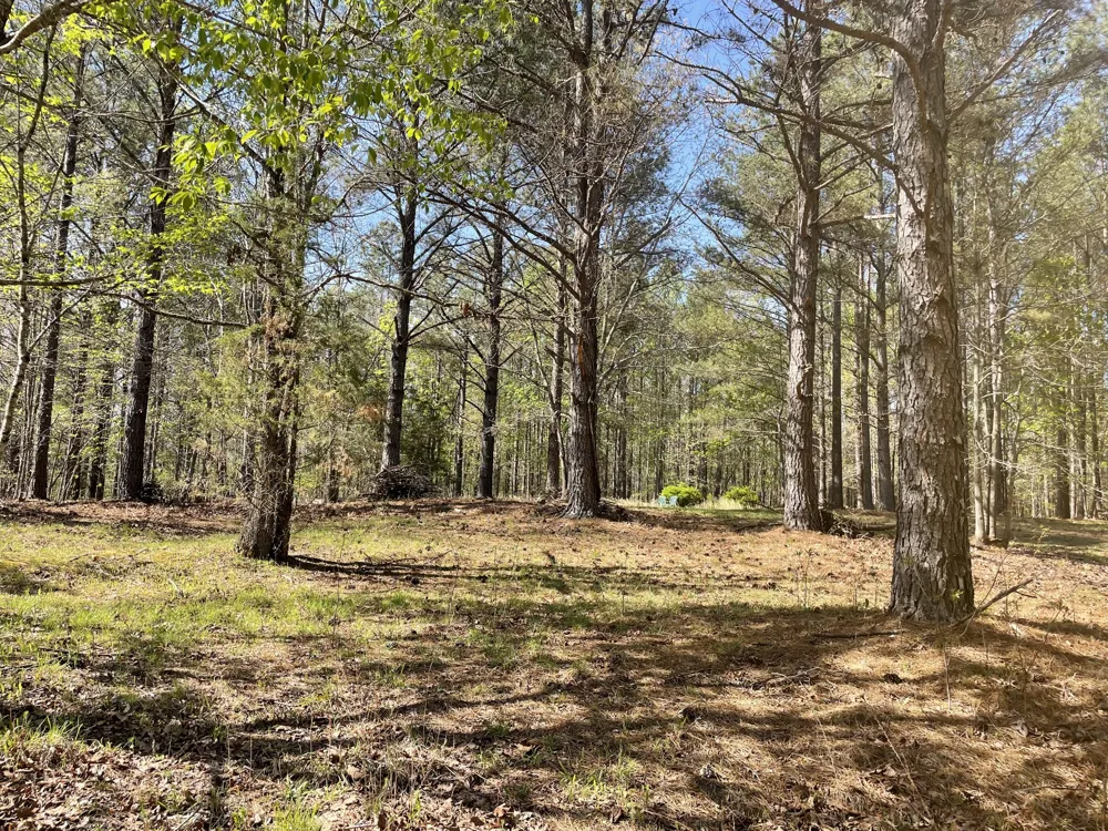 1001 Bj Rd Centerville, TN 37033