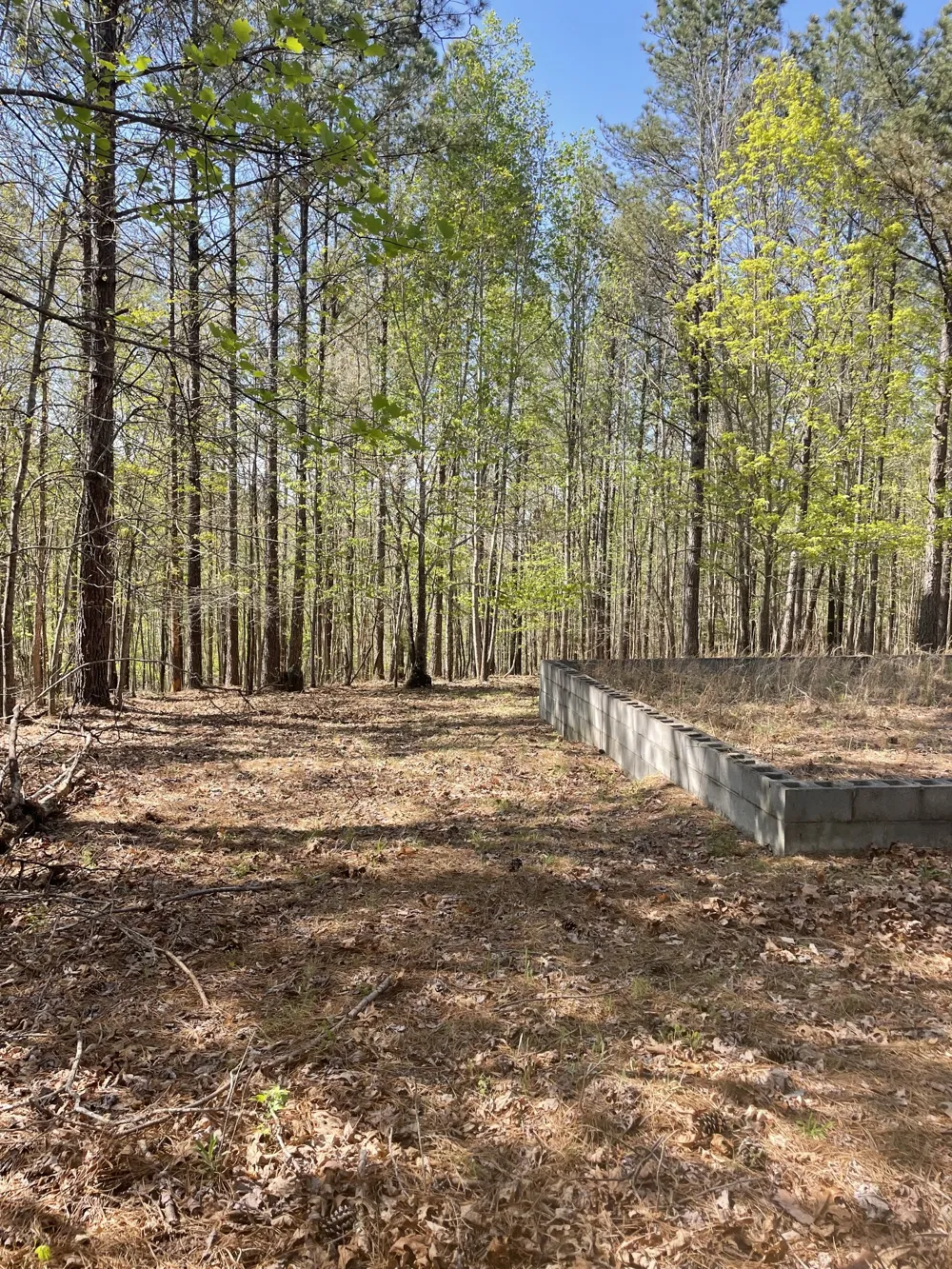 1001 Bj Rd Centerville, TN 37033
