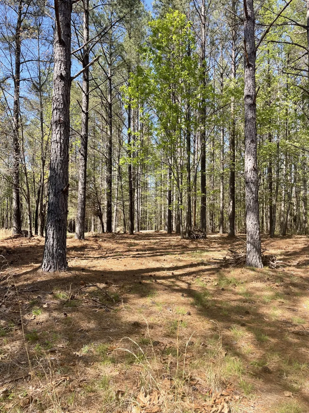 1001 Bj Rd Centerville, TN 37033