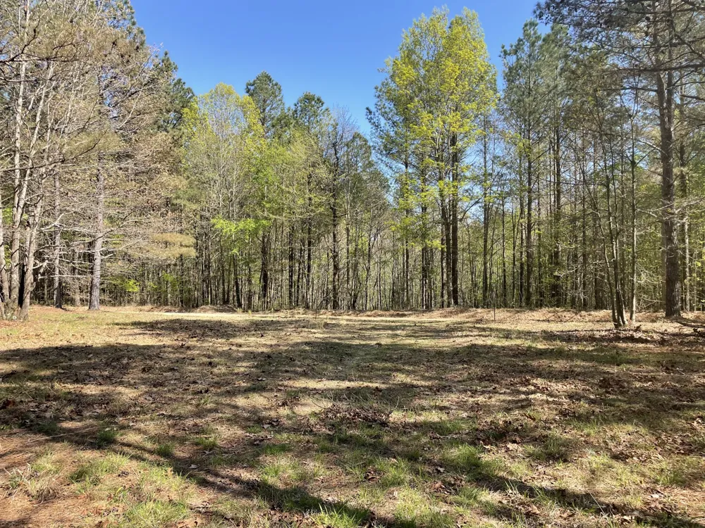 1001 Bj Rd Centerville, TN 37033