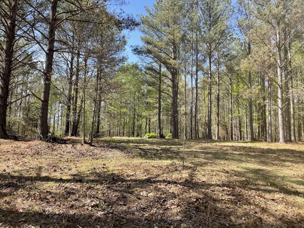 1001 Bj Rd Centerville, TN 37033