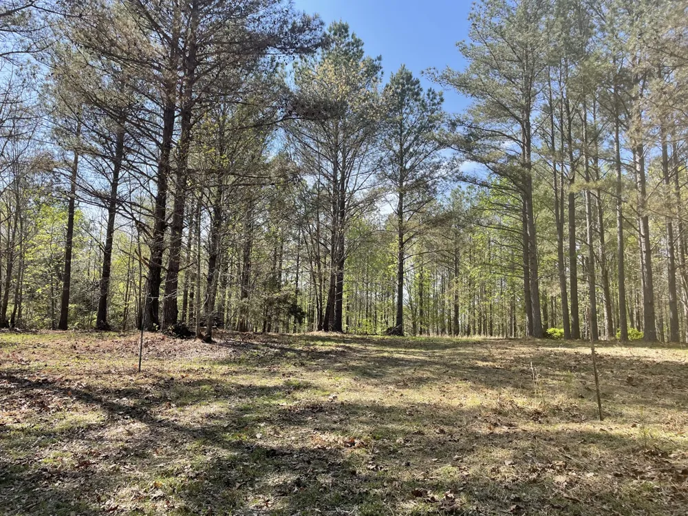 1001 Bj Rd Centerville, TN 37033