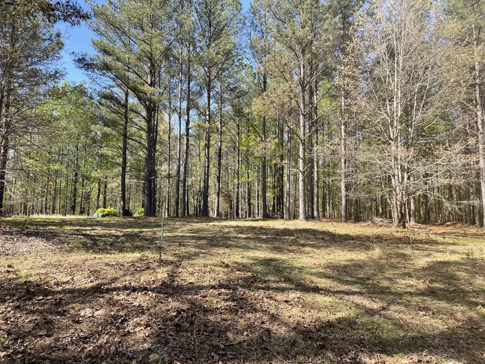 1001 Bj Rd Centerville, TN 37033