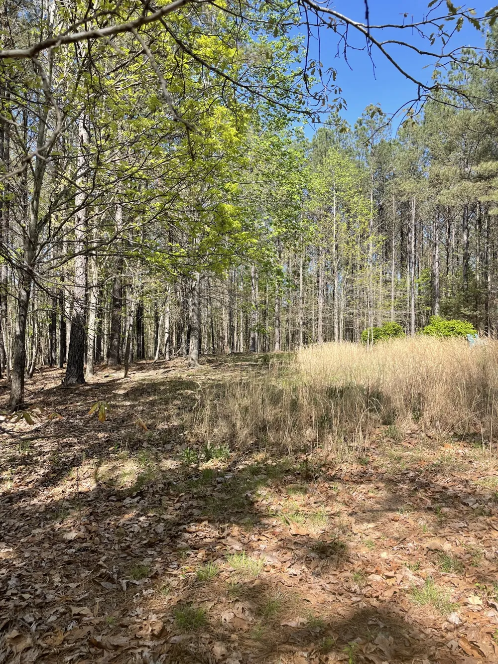 1001 Bj Rd Centerville, TN 37033