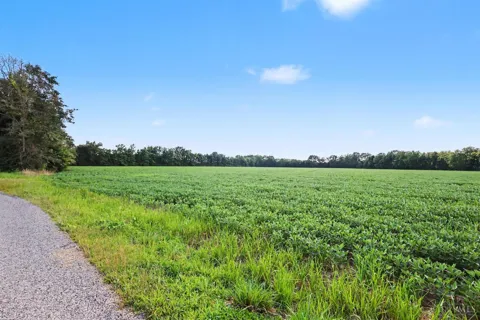 Neal Road