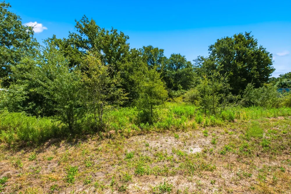 1 County Road 436 Snook, TX 77878