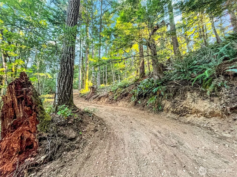 4840 Lake Cushman Road Hoodsport, WA 98548