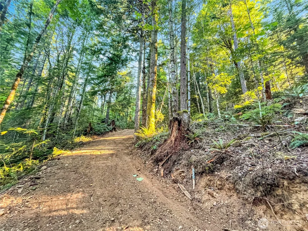 4840 Lake Cushman Road Hoodsport, WA 98548