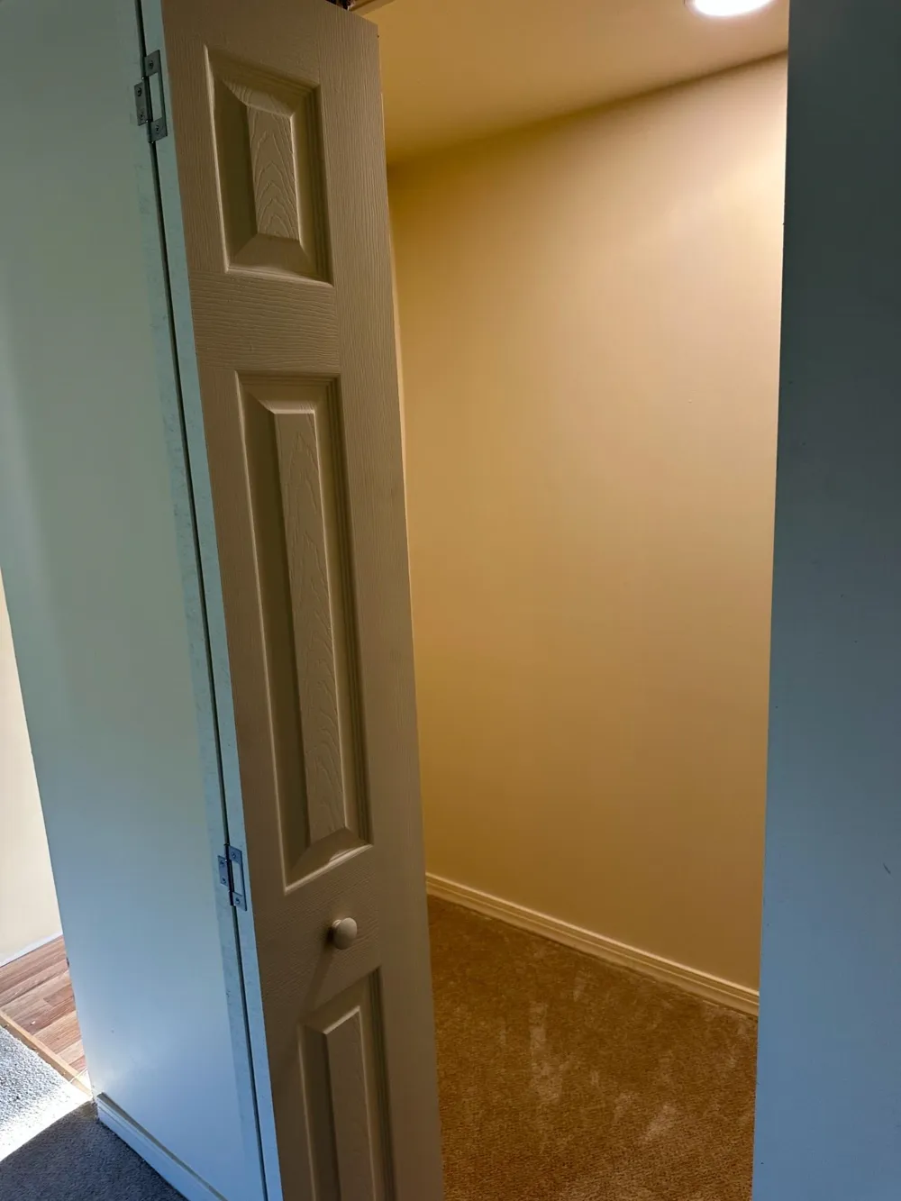480 Shattuck Road Carrollton Township, MI 48604