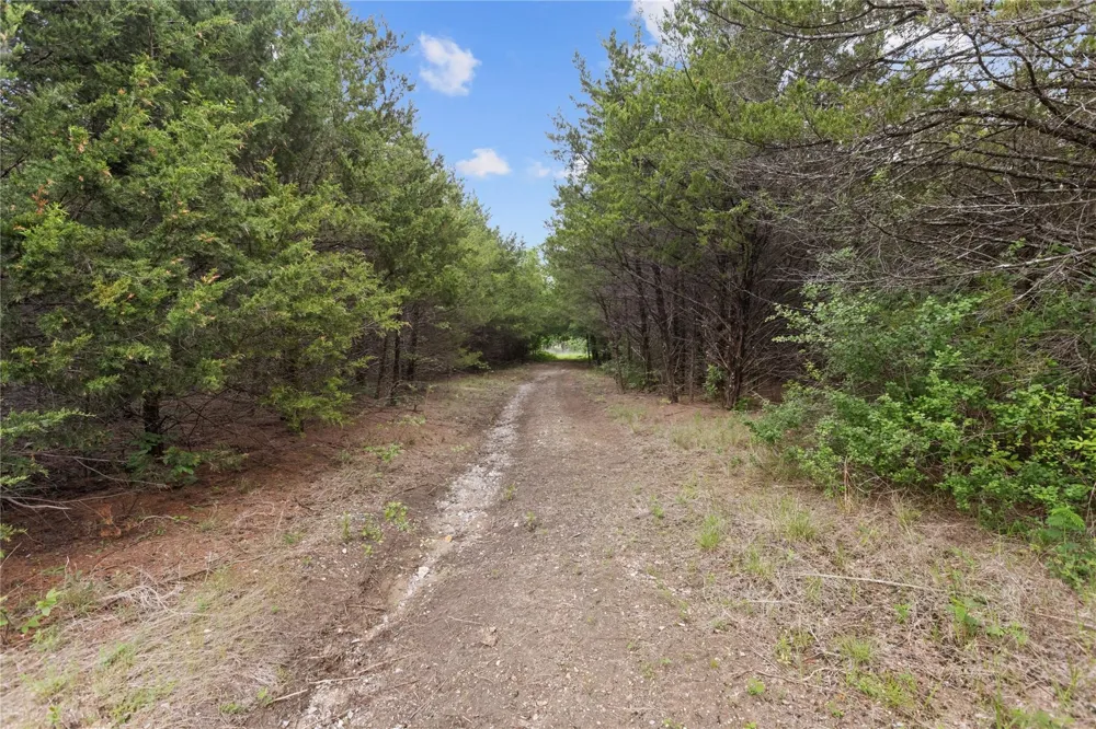 County Road 3105 Bonham, TX 75418