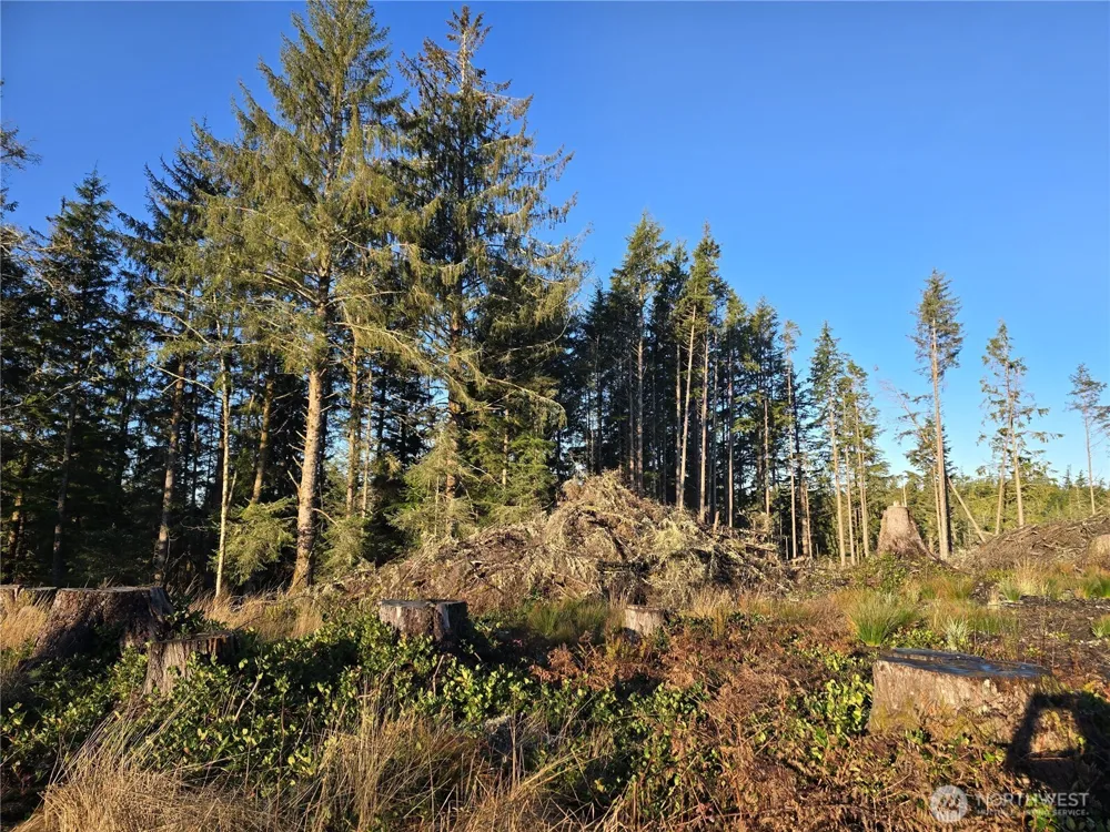 2753 State Route 101 Ilwaco, WA 98624
