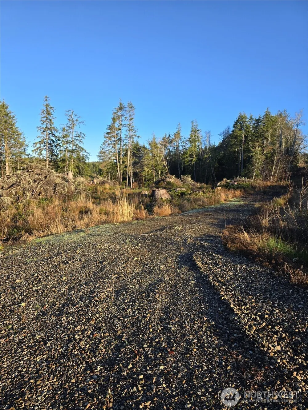 2753 State Route 101 Ilwaco, WA 98624