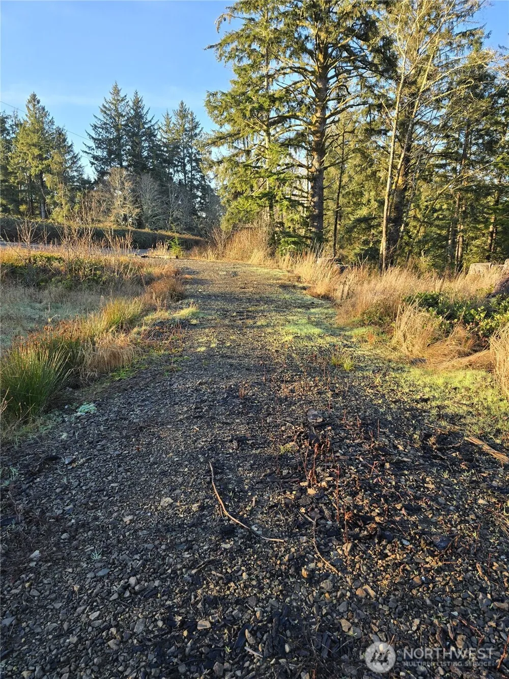 2753 State Route 101 Ilwaco, WA 98624
