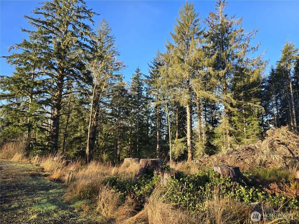 2753 State Route 101 Ilwaco, WA 98624