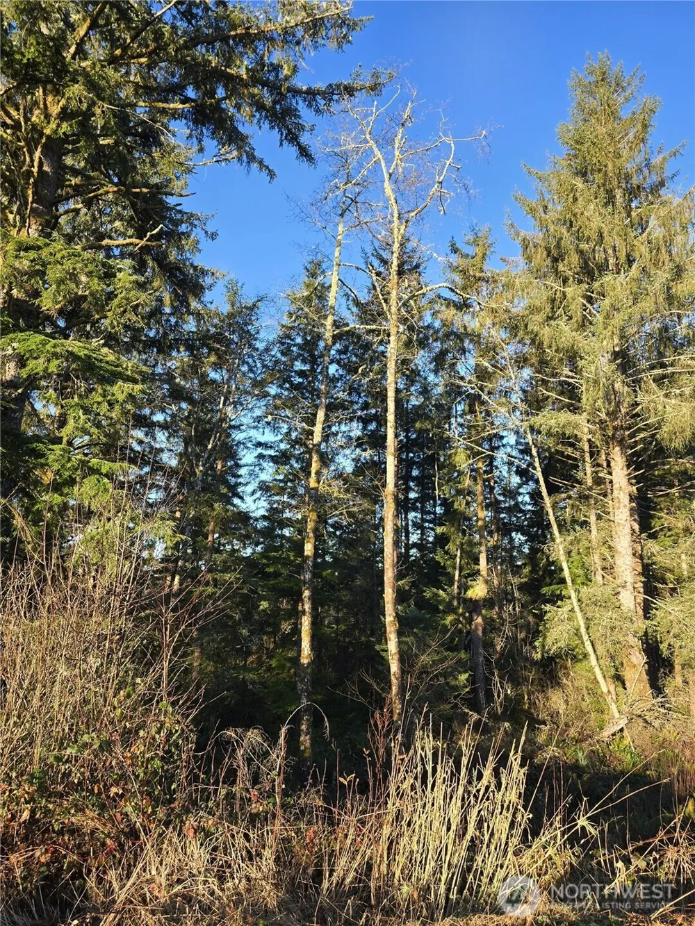 2753 State Route 101 Ilwaco, WA 98624