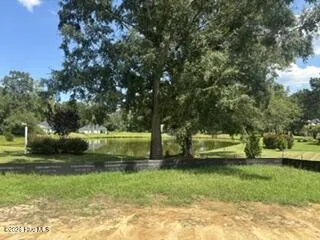143 Firethorn Circle Wallace, NC 28466