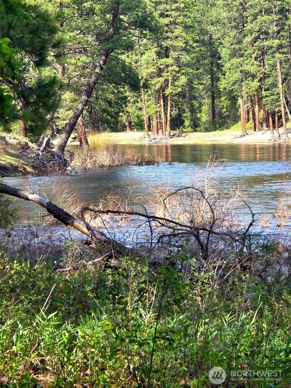 0 58TBD Siochanta Drive #Lot 4 Kettle Falls, WA 99141