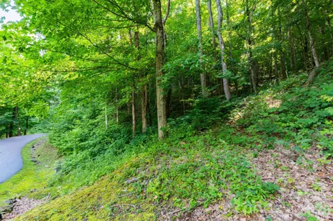 Lot 30 Finlaystone Trace #30
