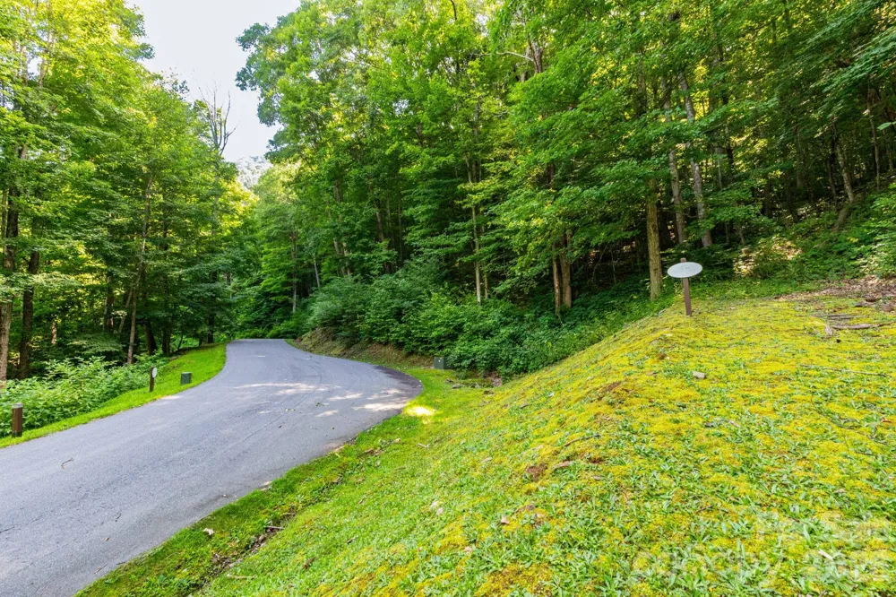 Lot 30 Finlaystone Trace #30 Waynesville, NC 28786