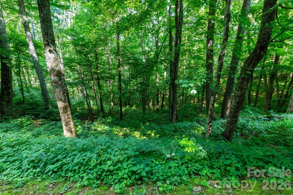 Lot 25 Finlaystone Trace #25 Waynesville, NC 28786