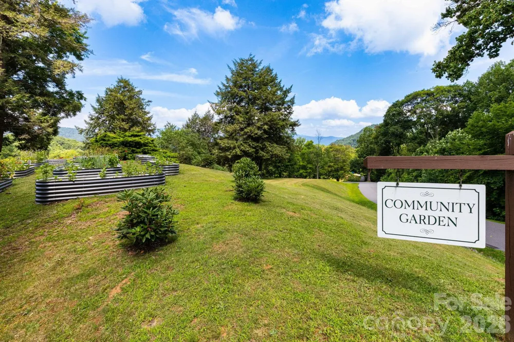 Lot 25 Finlaystone Trace #25 Waynesville, NC 28786