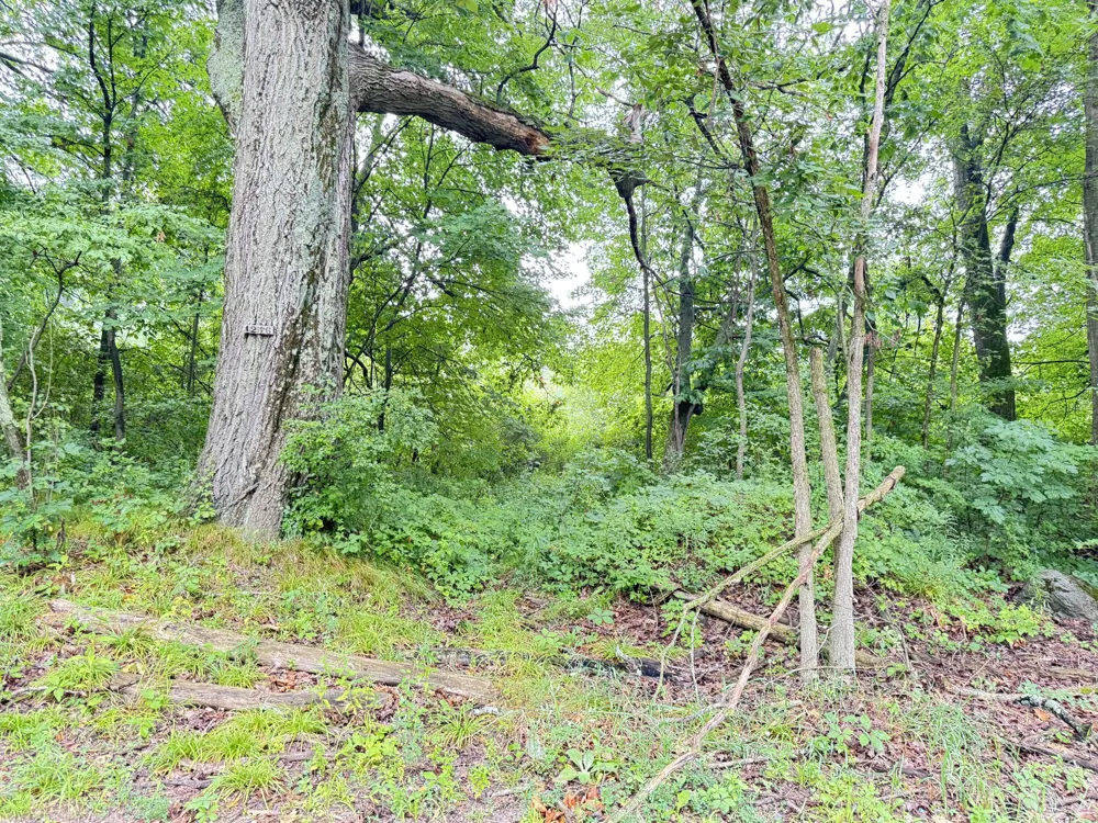 1246 S Locust Avenue White Cloud, MI 49349