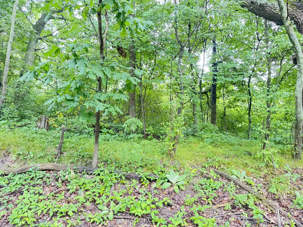 1246 S Locust Avenue White Cloud, MI 49349