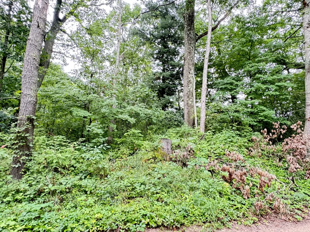 1246 S Locust Avenue White Cloud, MI 49349