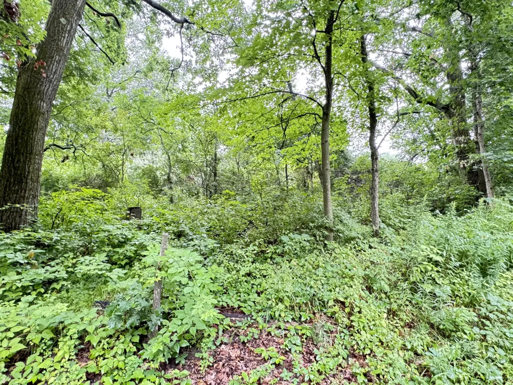 1246 S Locust Avenue White Cloud, MI 49349