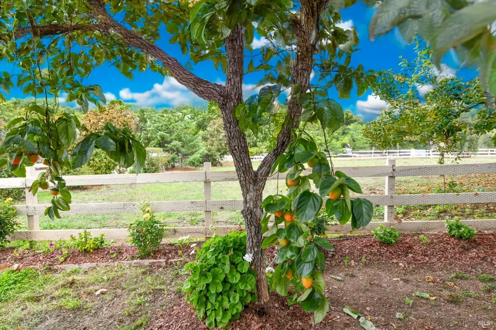 2060 Hagen Road Napa, CA 94558