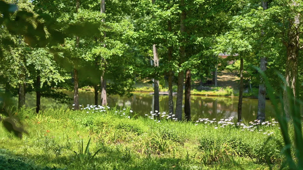 33 Eagle Nest Road Graysville, TN 37338