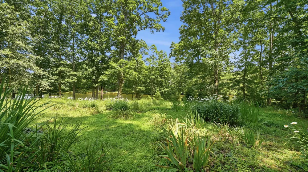 33 Eagle Nest Road Graysville, TN 37338