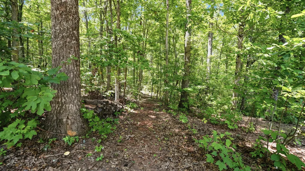 33 Eagle Nest Road Graysville, TN 37338