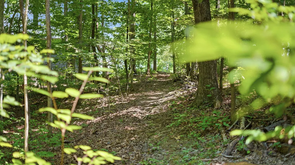 33 Eagle Nest Road Graysville, TN 37338
