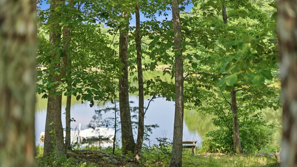 33 Eagle Nest Road Graysville, TN 37338