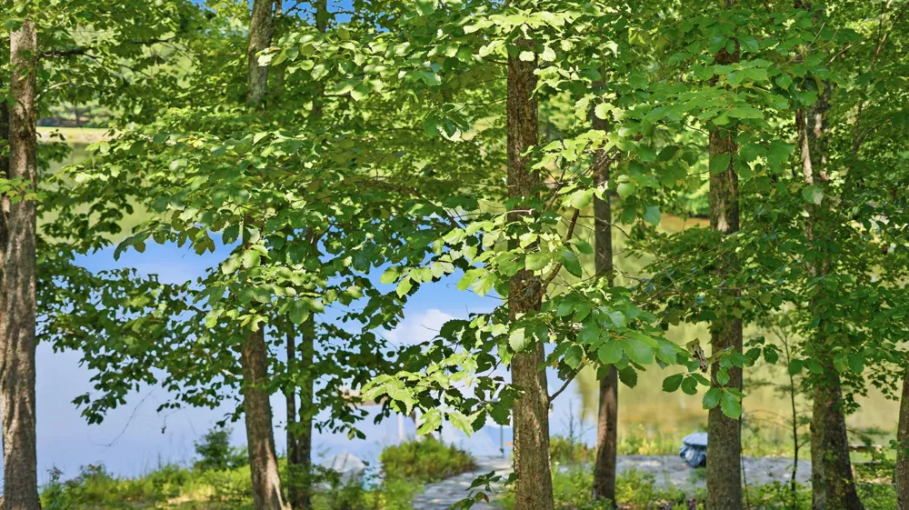 33 Eagle Nest Road Graysville, TN 37338