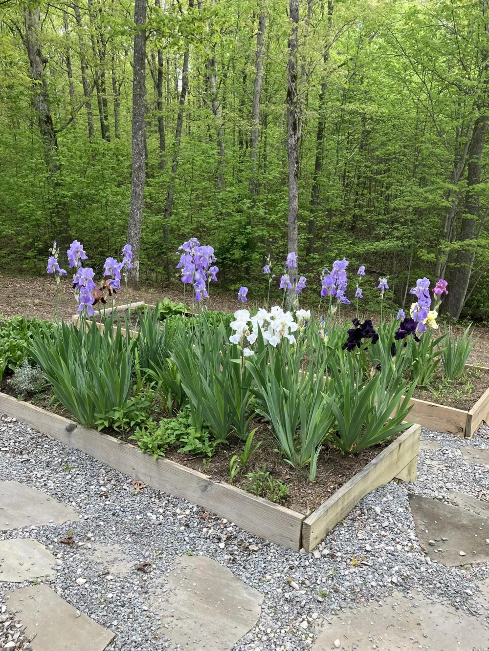 33 Eagle Nest Road Graysville, TN 37338