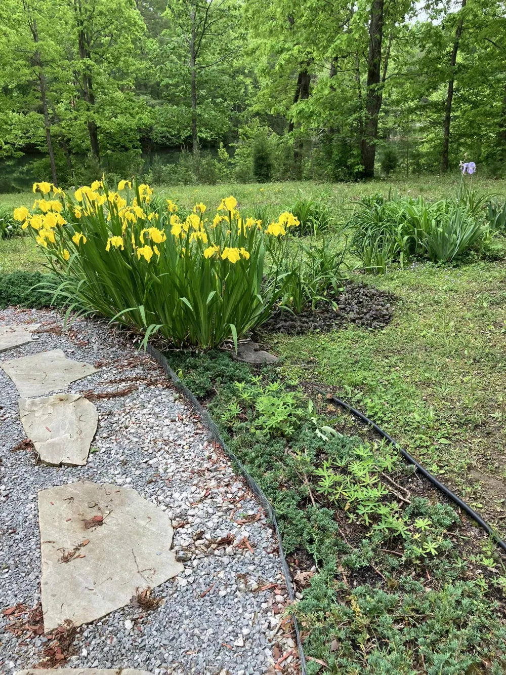 33 Eagle Nest Road Graysville, TN 37338