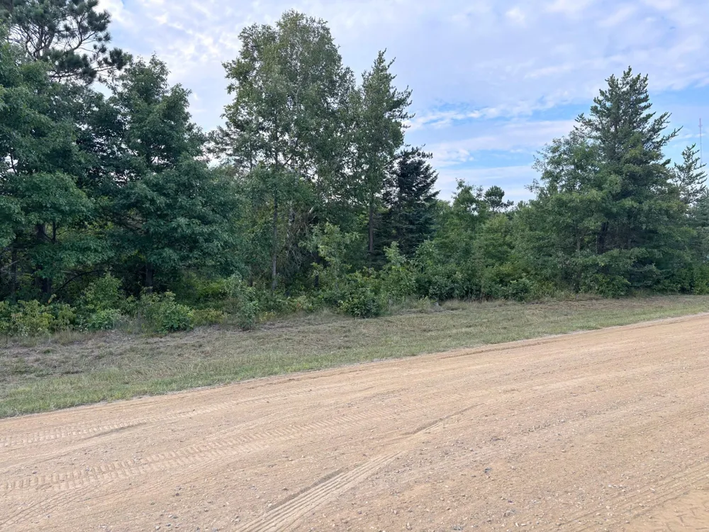 TBD TBD Bemidji, MN 56601