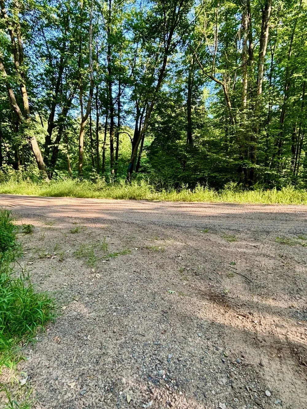 TBD Chippewa Trail Luck, WI 54853