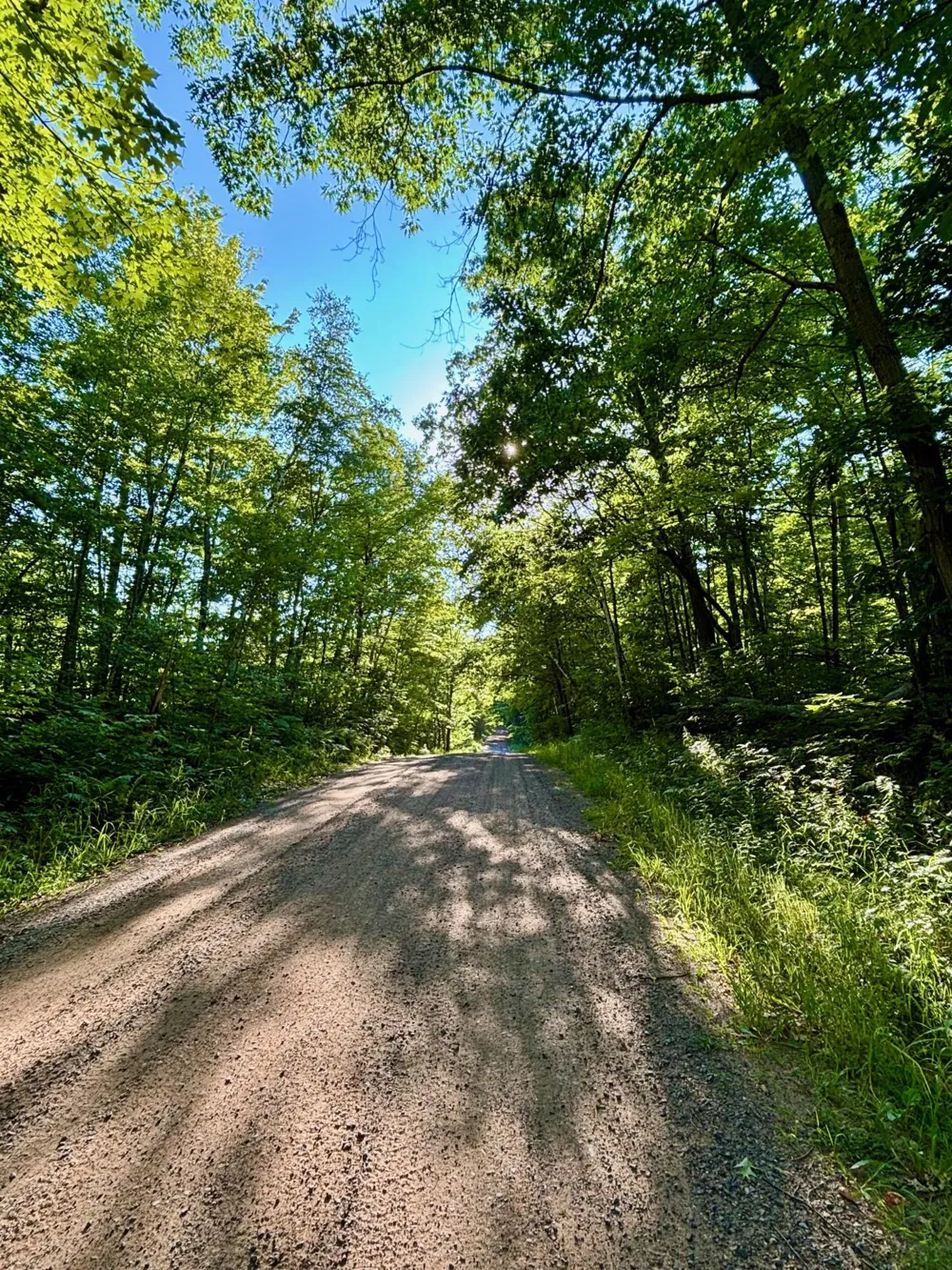 TBD Chippewa Trail Luck, WI 54853