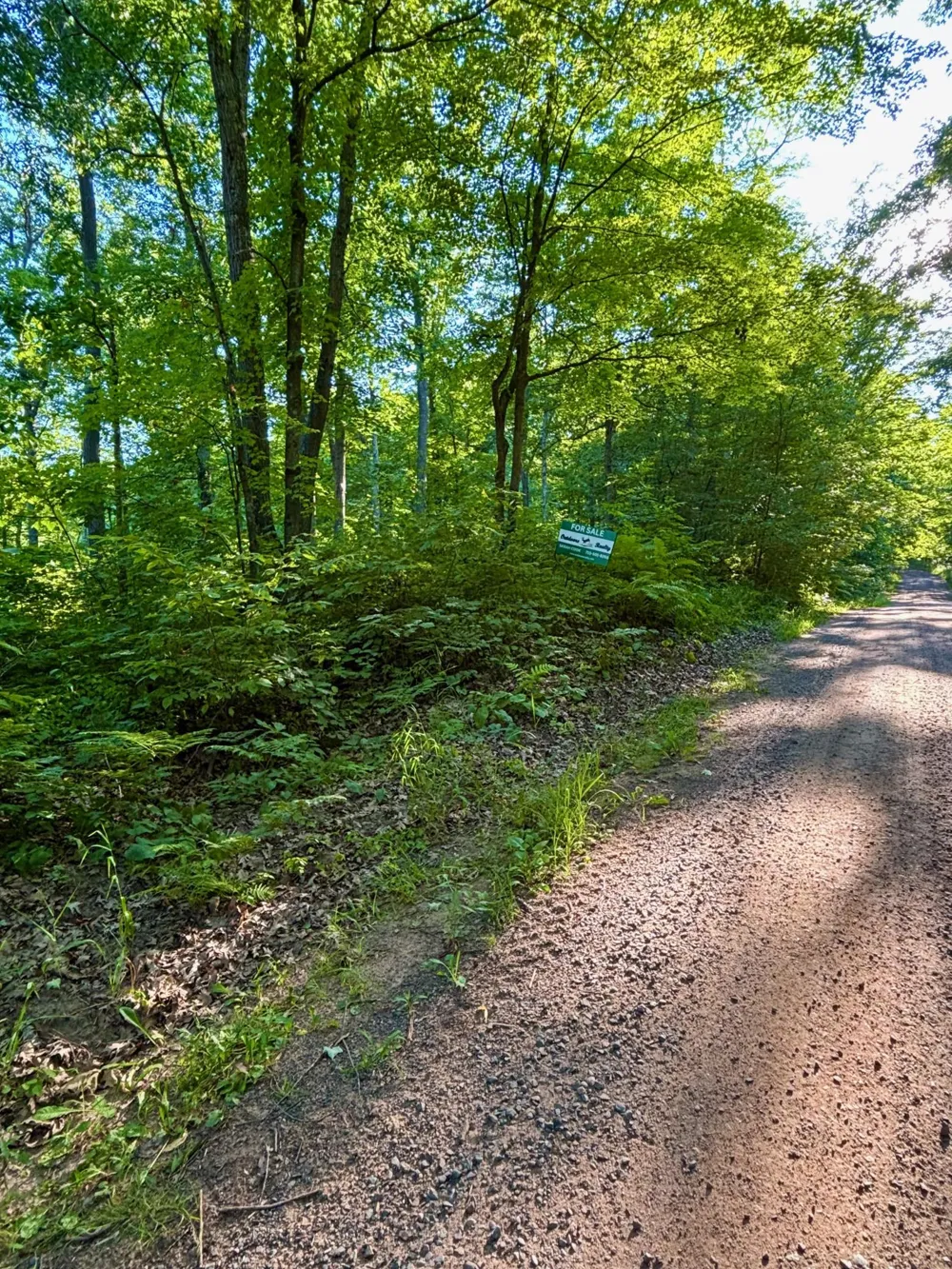 TBD Chippewa Trail Luck, WI 54853