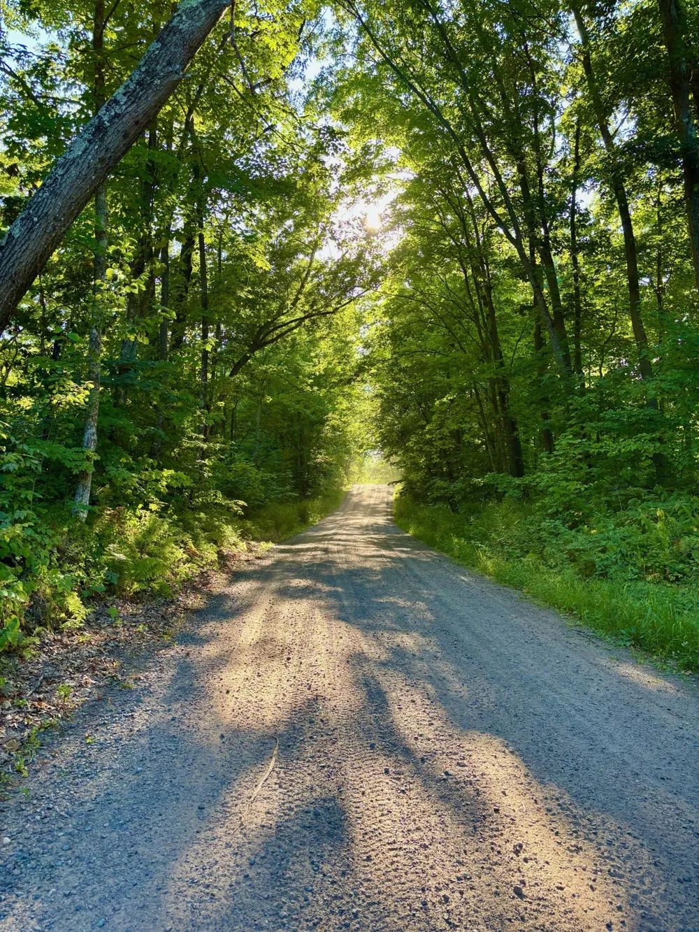 TBD Chippewa Trail Luck, WI 54853