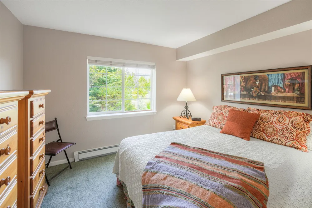 93 Pelican Circle #802 Breckenridge, CO 80424