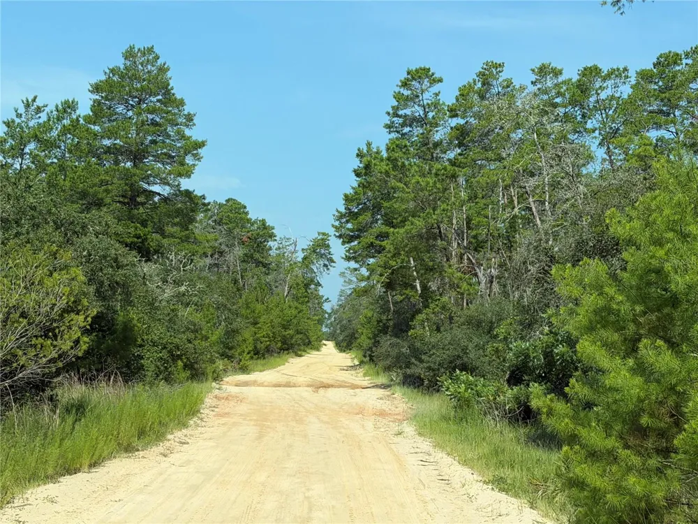0 SE 150TH FOREST 02, #3,  SE 150TH STREET Umatilla, FL 32784