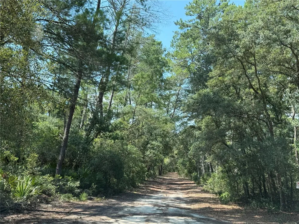 0 SE 150TH FOREST 02, #3,  SE 150TH STREET Umatilla, FL 32784
